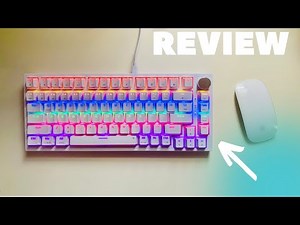 THE BEST BUDGET GAMING KEYBOARD? | Newmen GM326 Mechanical Keyboard