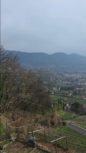 Merano 4K: Bird's Eye View | Paradise Air & Tropical Nature 🦅🏔️