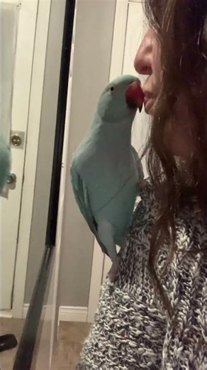 Baby Kiwi Zerberts 🥹