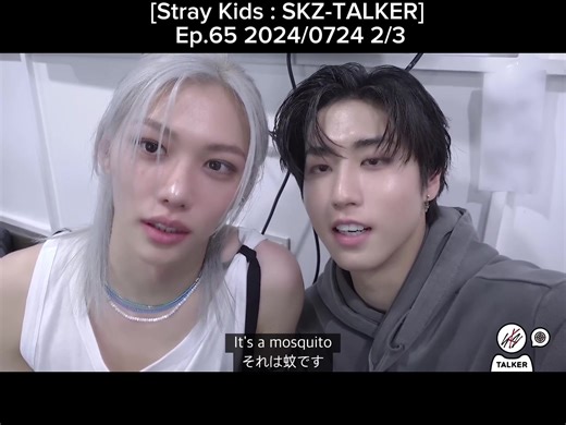 Stray Kids SKZ-TALKER Episode 65 Highlights