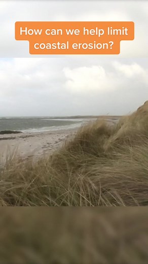 Coastal Erosion Management Techniques Explained
