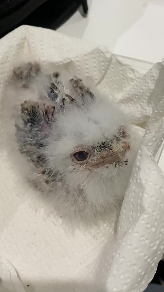 Just the 2 of us 🫶🏼