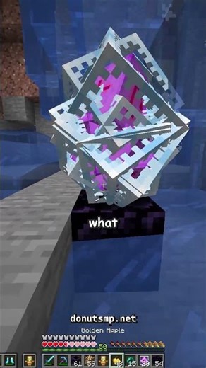 I BROKE DonutSMP?