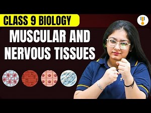 Muscular and Nervous Tissues | CBSE Class 9th Biology | Board Exams 2026 | Rankplus