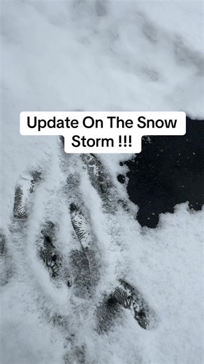Snow Storm Update#fyp #viral #snowstorm #weather #storm