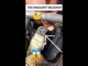 2005 Ford Focus 2 0 ZX4 MAP Sensor Diagnostics