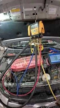 New House means new neighbors! 🤣