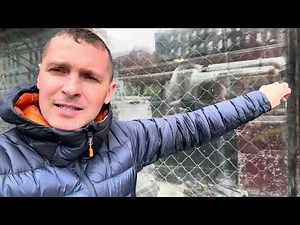 Test of Anti-Graffiti Window Film on Acid-Etched Graffiti [2025] | [Manhattan]