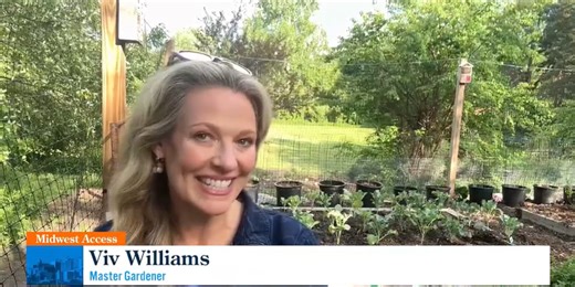 Midwest Access: Viv's Groovy Garden:  Tour of Viv's Spring Veggie Garden