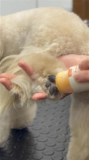 Paw Wax Application ASMR 🐾 Gentle Dog Paw Care No Talking