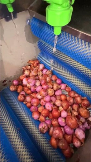 Onion Peeling Machine – Save Time, Save Labor #peeler #potatopeeler #vegetablepeeler