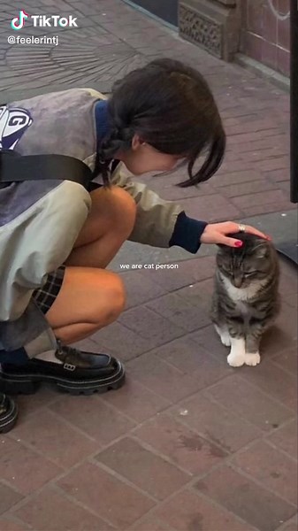 INTP Personality Traits and Humor Explained