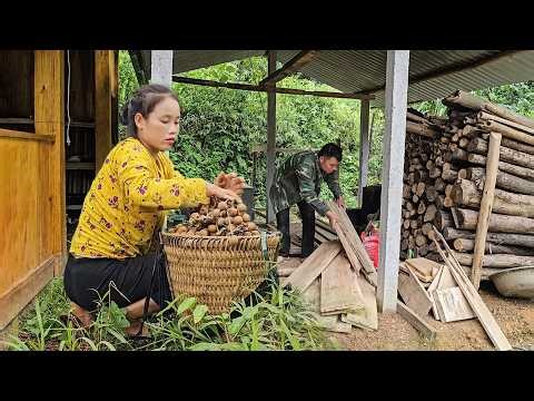 How to Create a Beautiful Wooden Accent Wall for Your Home (DIY Guide)