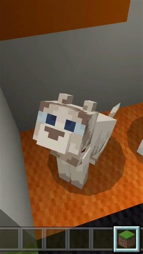 Minecraft ghost blocks#minecraftshorts