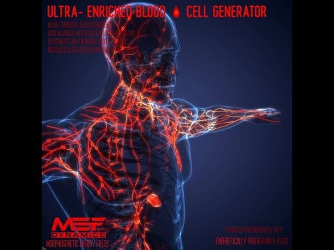 Ultra-Enriched Blood Cell Generator (Morphic Field) - MEF Dynamics