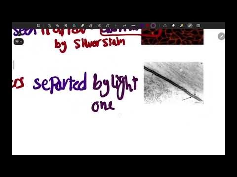 Histology lecture one Applied health science