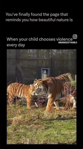 You got my back & I got yours! ❤️