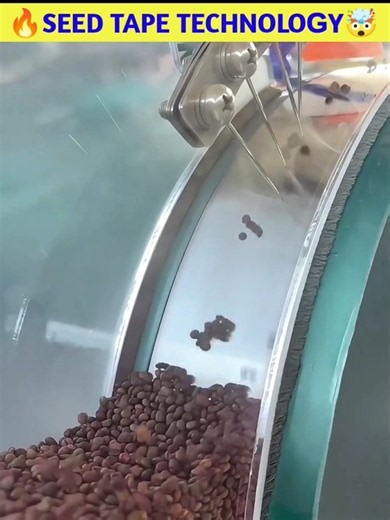 🔥Seed Tape Technology🤯#shorts #viral