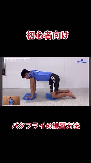【水泳-切り抜き】初心者向けバタフライの練習方法