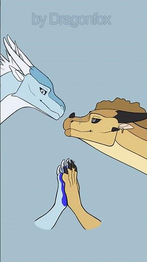 Mazetara mazetara Wings of Fire (Animation meme) #ao #kiro