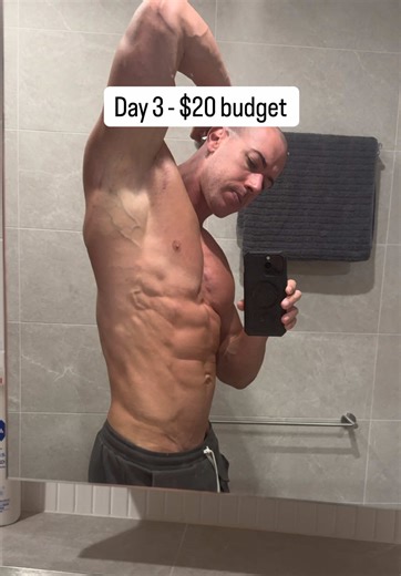 Day 3 - $20 budget | Air Fryer Chicken