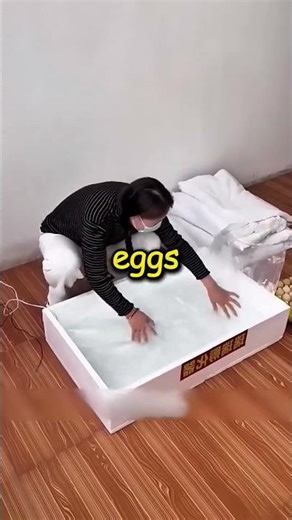 China's Secret Hatching Chicks in Just 2 Days