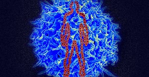 A Google Maps for the Human Body