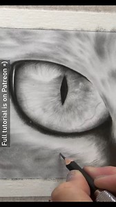 Through the use of applying the graphite and then removing the graphite with a range of erasers I always aim to build up as much depth as I can in each piece I create. This focuses on two pain aspects. How to draw realistic eyes and then drawing tabby fur. Both very different but each requiring the same approach of lots of layers. Each layer refines the contrast and as that happens the eye takes on a more three dimensional shape. The fur starts to become more realistic and that's because the val