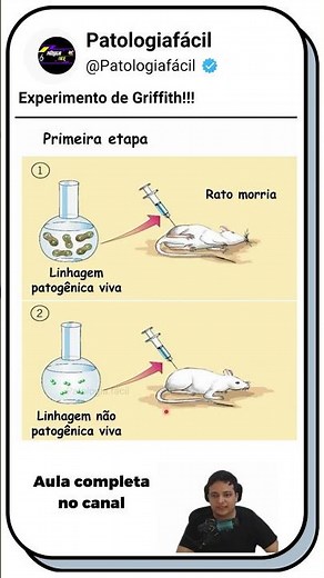 Experimento de Griffith #youtubeshorts #biomedicina