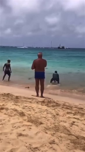 Humor com Pesca on Instagram: "❇️ Alguém pode me explicar o que seria isso ? 👀 . . SIGAM @humorcompesca . . Sigam também nosso canal no YouTube !! Link na Bio !! 😉 . . . PARCEIROS👇🏻🎣 . ▪️ @rafaelmarcatto -> OPERAÇÃO DE PESCA LOCALIZADA EM PARATY / RJ (COSTA VERDE) ▪️ @jfcaiaquesepesca -> LOJA DE VENDA DE CAIAQUES E ARTIGOS DE PESCA EM JACAREPAGUÁ / RJ. 📣 Sigam também meus parceiros !!! —————————- H U M O R C O M P E S C A . . #fishing #praia"