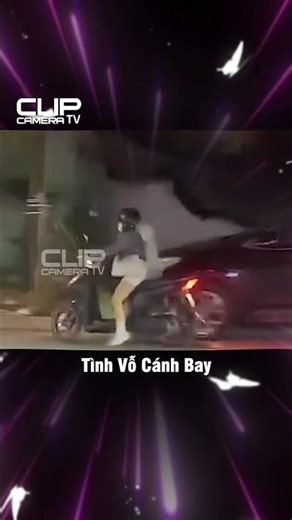 Tình Vỗ Cánh Bay 😫