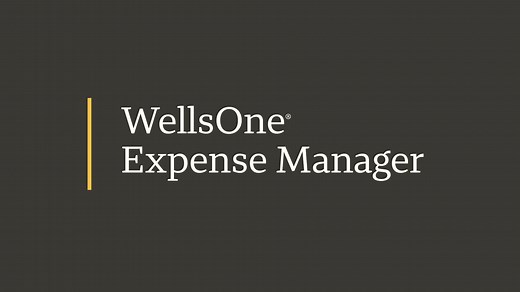 Wells One Expense Manager Video
