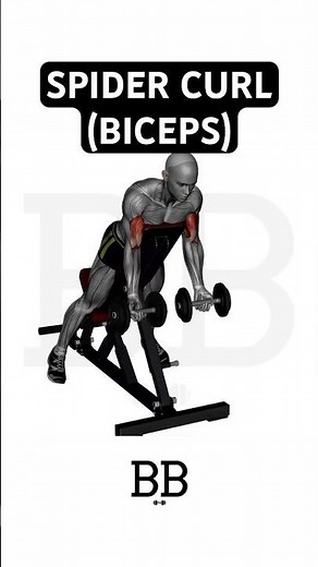Incline Spider Curl (BICEPS): Build Strong, Peaked Biceps! 💪