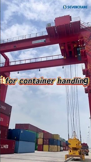 Powerful Rail Mounted Gantry Crane in Action