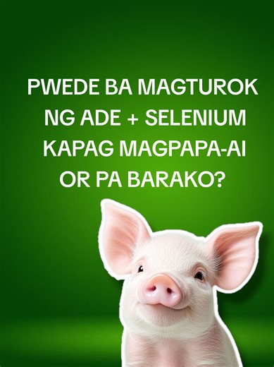 Ade Selenium para sa Inahing Baboy: Kahalagahan at Pagtuturo