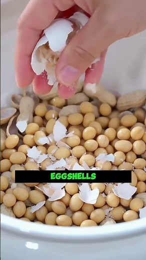 🌸 Desert Rose Not Blooming? Try This Potting Method Instead!||#gardening #plants