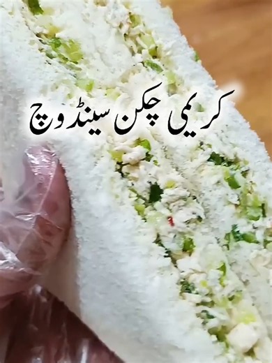 Creamy Chicken Sandwich Recipe | Easy Viral Foodtok Sandwich