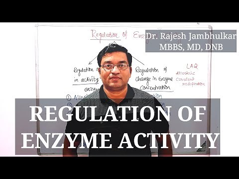 8. Regulation of Enzyme Activity