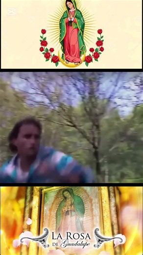 #CapCut #unagranhistoriadeamor #larosadeguadalupe #osornochile🇨🇱 #videosrandom