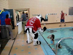 Chick-fil-A Cows at the Pool