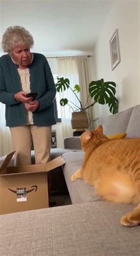 Saison 1 Episode 11 Il commande sur Amazon en cachette 😭📦