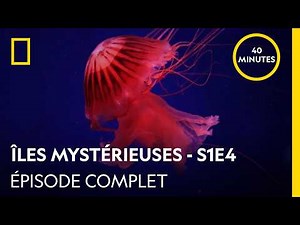 Mysterious Islands | Season 1 Episode 4 | The Island of the Goddess Artemis (Full)