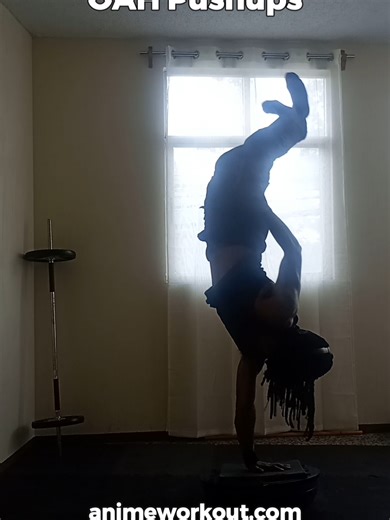 Day 129 Training Asta's One Arm Handstand Pushups