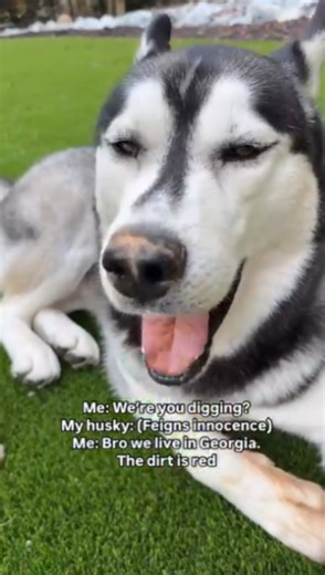 Mistakes were made and I knew it too late