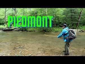 EASTERN Streams - Where It All Began