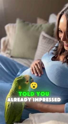 Parrot want to teach a Magic trick . #parrot #magictricks #magic #talkingparrot #funnyanimals #cockatoo #baby | Margaret McKissick