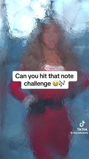 Wait until the end. We’ll try better next time @Mariah Carey 🎄🎶😭 #fyp #viral #fypシ #jagmac #foryoupage #foryou #trend #challenge #family #mariahcarey #mariahcareychallenge #mariahcareytiktok #funny #comedy #christmas #itstime #music #singing