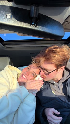 Meet Pooh: Our Adorable New Guinea Pig Rescue