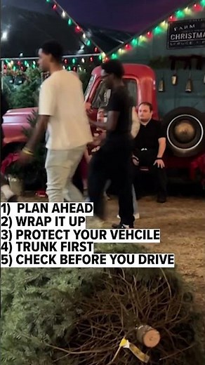 Tips for safely transporting your Christmas tree