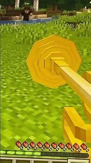 I met baby dash,cam and ruby